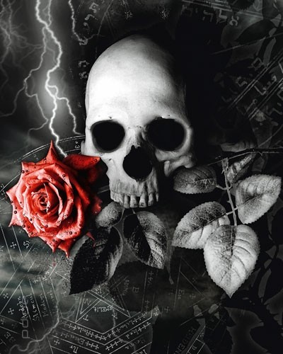 Poster Skull Rose Totenkopf Schadel Rose Gothic Tod