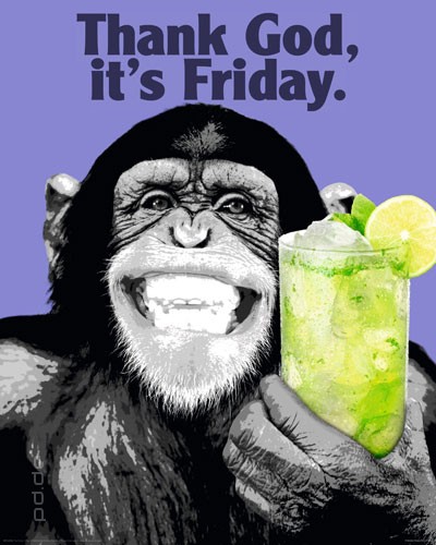 Poster The Chimp Affe Thank God it's Friday Freitag 40 x 50 cm | eBay